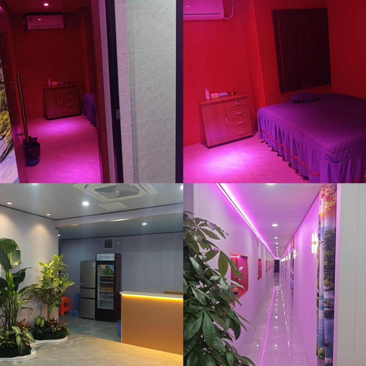 虹口区四蓷带囗